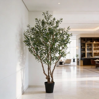 Artificial Tall Olive Tree (KD) – 240cm Faux Trees Wholesale for Commercial Décor