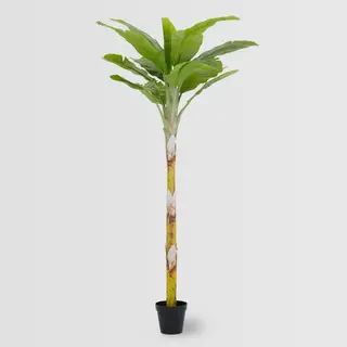 Artificial Banana Tree(KD), 250cm  – Wholesale Faux Banana Plant for Commercial Décor Projects