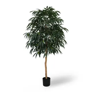 Artificial Real Wood Mango Tree (KD) – 240cm Faux Trees Wholesale for Commercial Projects