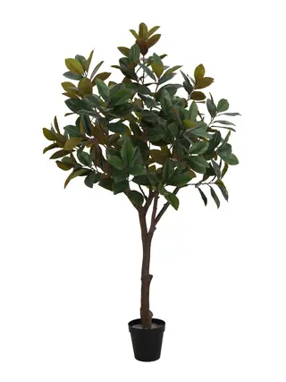 Artificial Magnolia Tree (KD) – 250cm & 300cm Faux Indoor Tree for Commercial & Home Decor