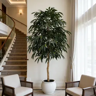 Artificial Real Wood Mango Tree (KD) – 240cm Faux Trees Wholesale for Commercial Projects