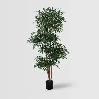 Artificial Real Wood Ficus Tree (KD) – 210cm Faux Trees Wholesale for Commercial Projects