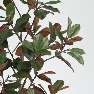Artificial Magnolia Leaf Tree (KD) – 250cm Large Faux Trees Wholesale for Commercial Projects