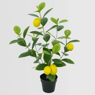 Artificial Small Lemon Tree, 50cm– Lifelike Faux Tree for Commercial Interiors