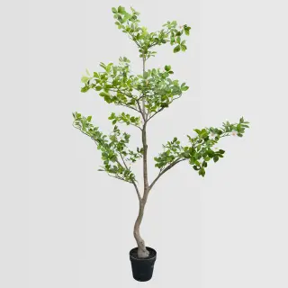 Artificial Gardenia Flower Tree (KD), 190cm – Lifelike White Flowering Tree for Indoor Decor