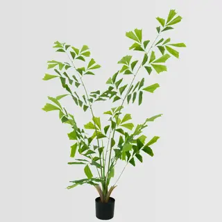 Artificial Fishtail Palm Tree, 150cm –  Artificial Tree Wholesale for Commercial Interiors
