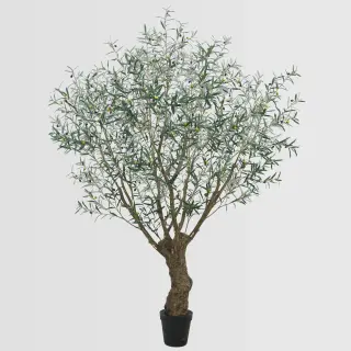Artificial Large Olive Tree (KD) – 290cm Lifelike Faux Trees Wholesale for Commercial Décor