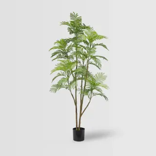 Artificial Spiny Date Palm Tree – 180cm Faux Tropical Palm for Commercial Interiors