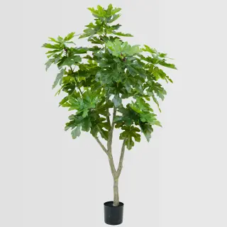 Artificial Fig Tree (KD) – 210cm Faux Indoor Tree for Commercial & Home Decor