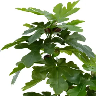 Artificial Fig Tree (KD) –90cm Faux Indoor Tree for Commercial & Home Decor