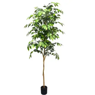 Artificial Real Wooden Trunk Slim Ficus Tree (KD), 180cm– Lifelike Faux Tree for Commercial Interiors