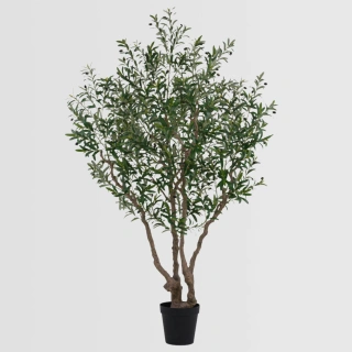 Artificial Tall Olive Tree (KD) – 240cm Faux Trees Wholesale for Commercial Décor