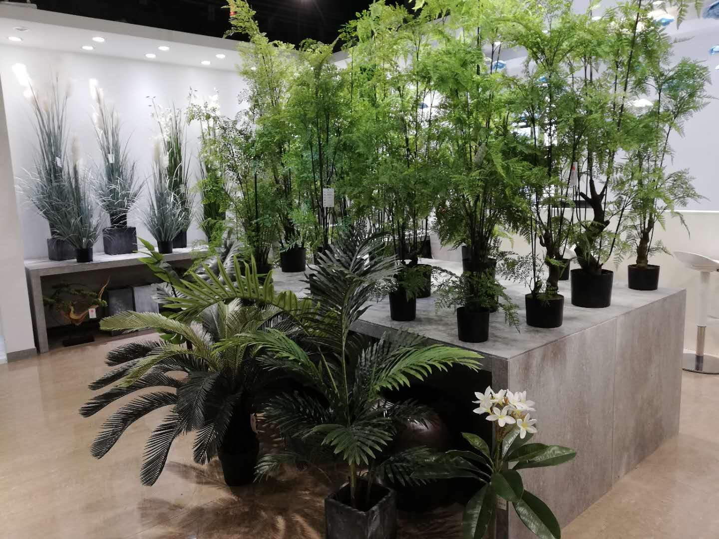 Do you forget to water your plants, after some time turn into dry? Do you forget to water your plants, after some time turn into dry?