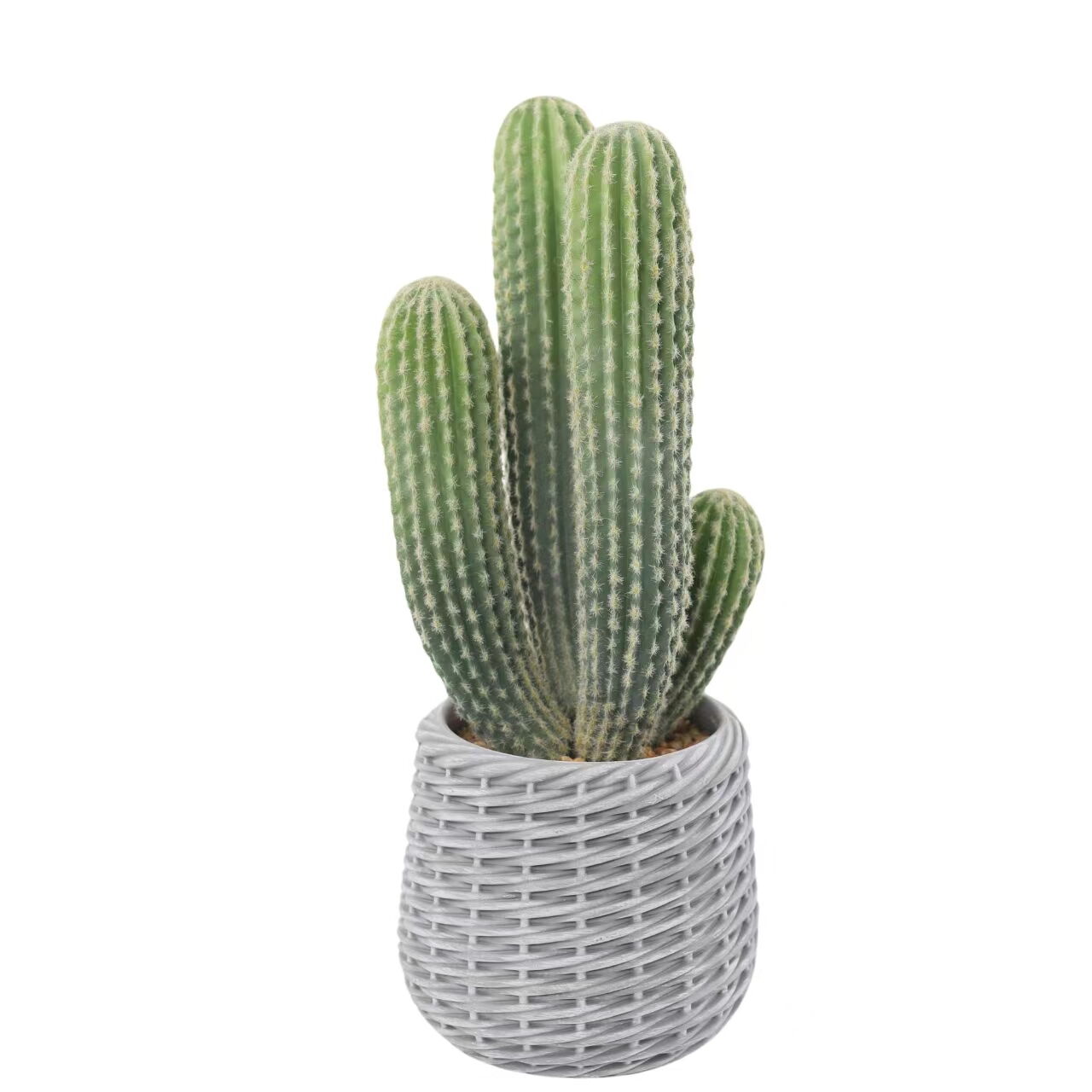 Artificial Cactus in EVA Flower Pot, 63cm