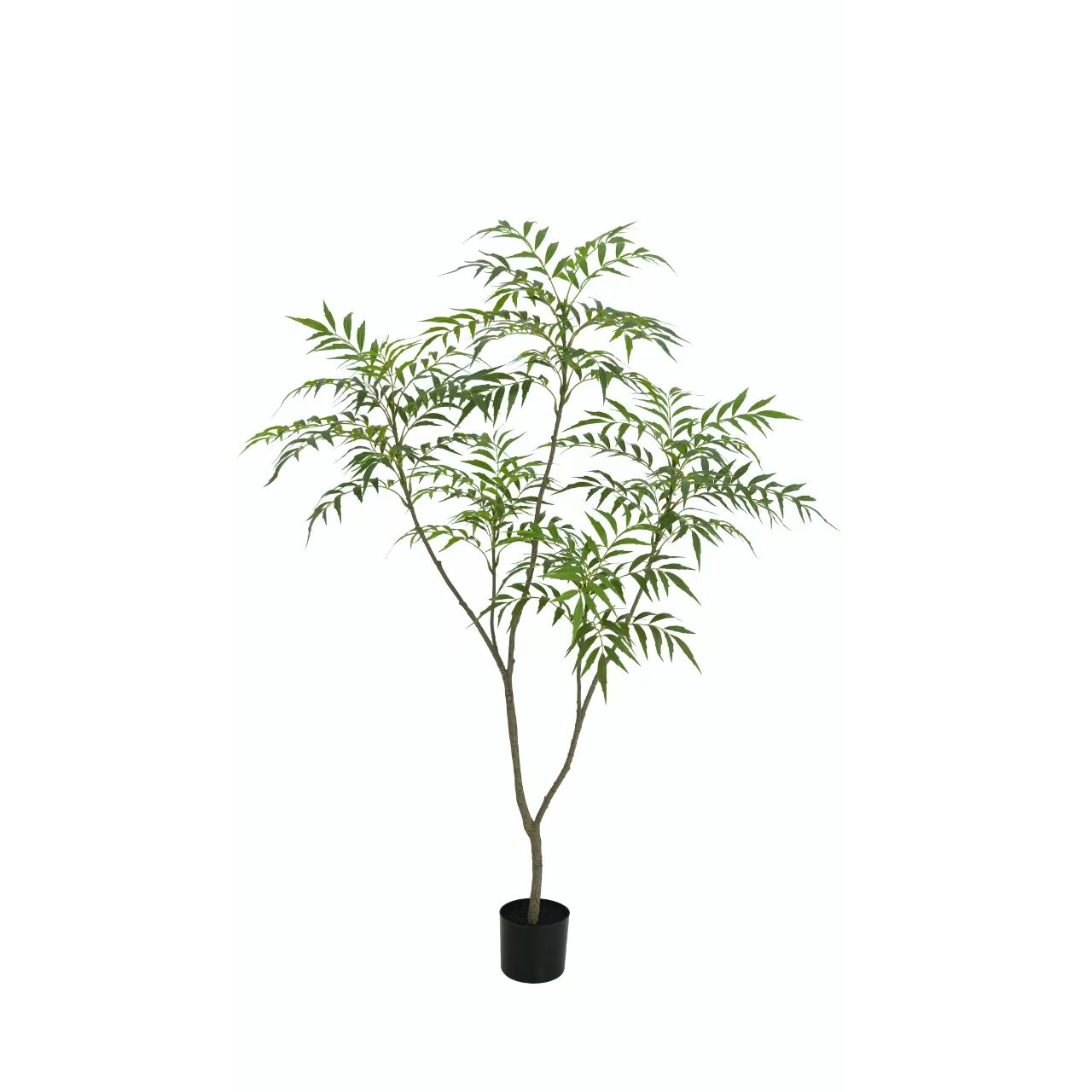 Artificial Golden Bamboo(KD), 150cm