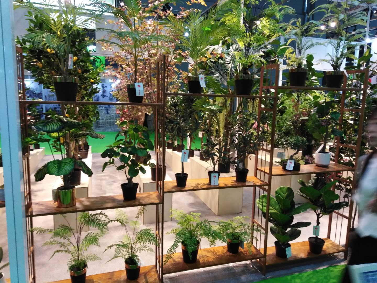 Do you forget to water your plants, after some time turn into dry? Do you forget to water your plants, after some time turn into dry?