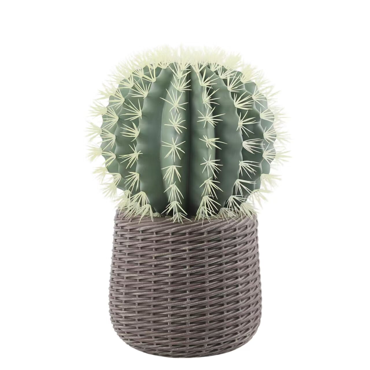 Artificial Prickly Pear in an EVA Flower Pot, 69cm