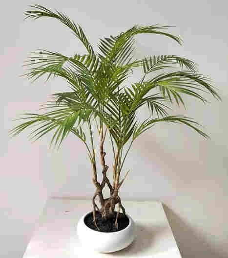 2020 Newest Artificial Areca Palm Trees, 80 CM, YC 224-5