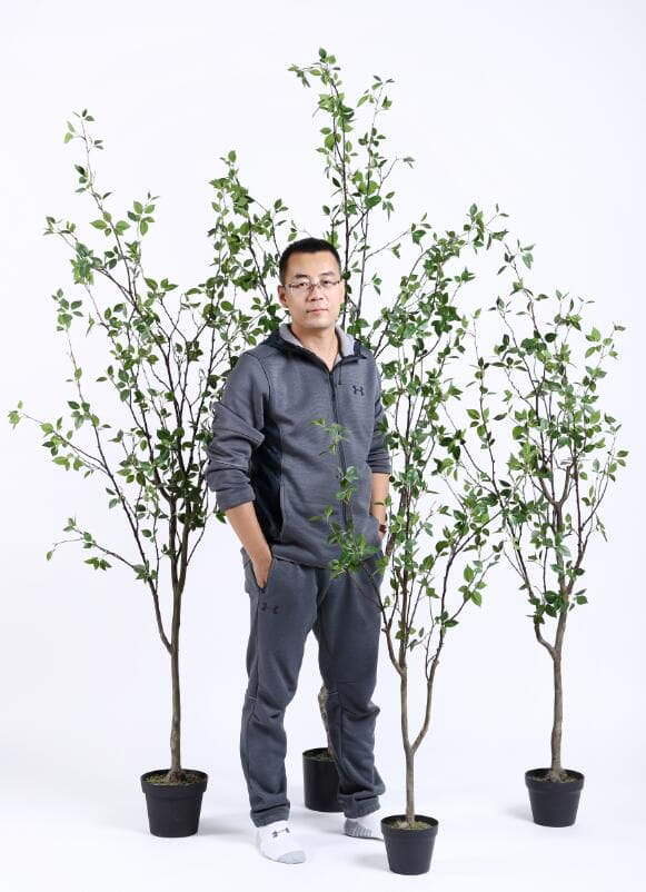 2020 Artificial Plants from Sharetrade 2020 Artificial Plants from Sharetrade