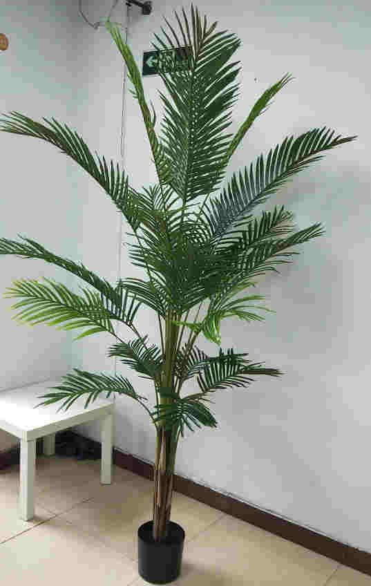 2020 Newest Artificial Phoenix Palm Tree, Potted, 130 CM - 210 CM