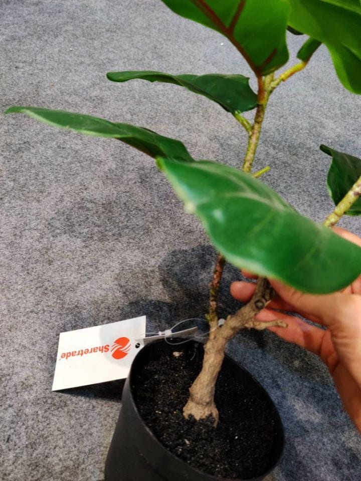 Artificial New Fiddle-leaf Fig Bonsai High Quality 30~60 CM Potted Artificial New Fiddle-leaf Fig Bonsai High Quality 30~60 CM Potted