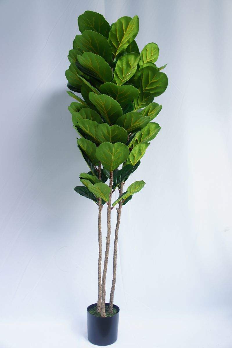 Artificial Ficus Lyrata Tree, 180 CM