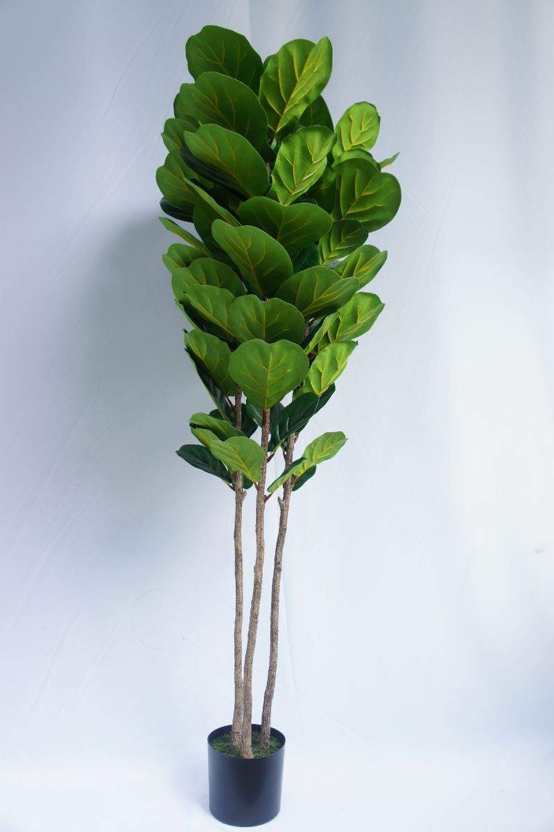 Artificial Ficus Lyrata Tree, 180CM - Sharetrade