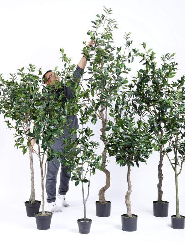 2020 Artificial Plants from Sharetrade 2020 Artificial Plants from Sharetrade