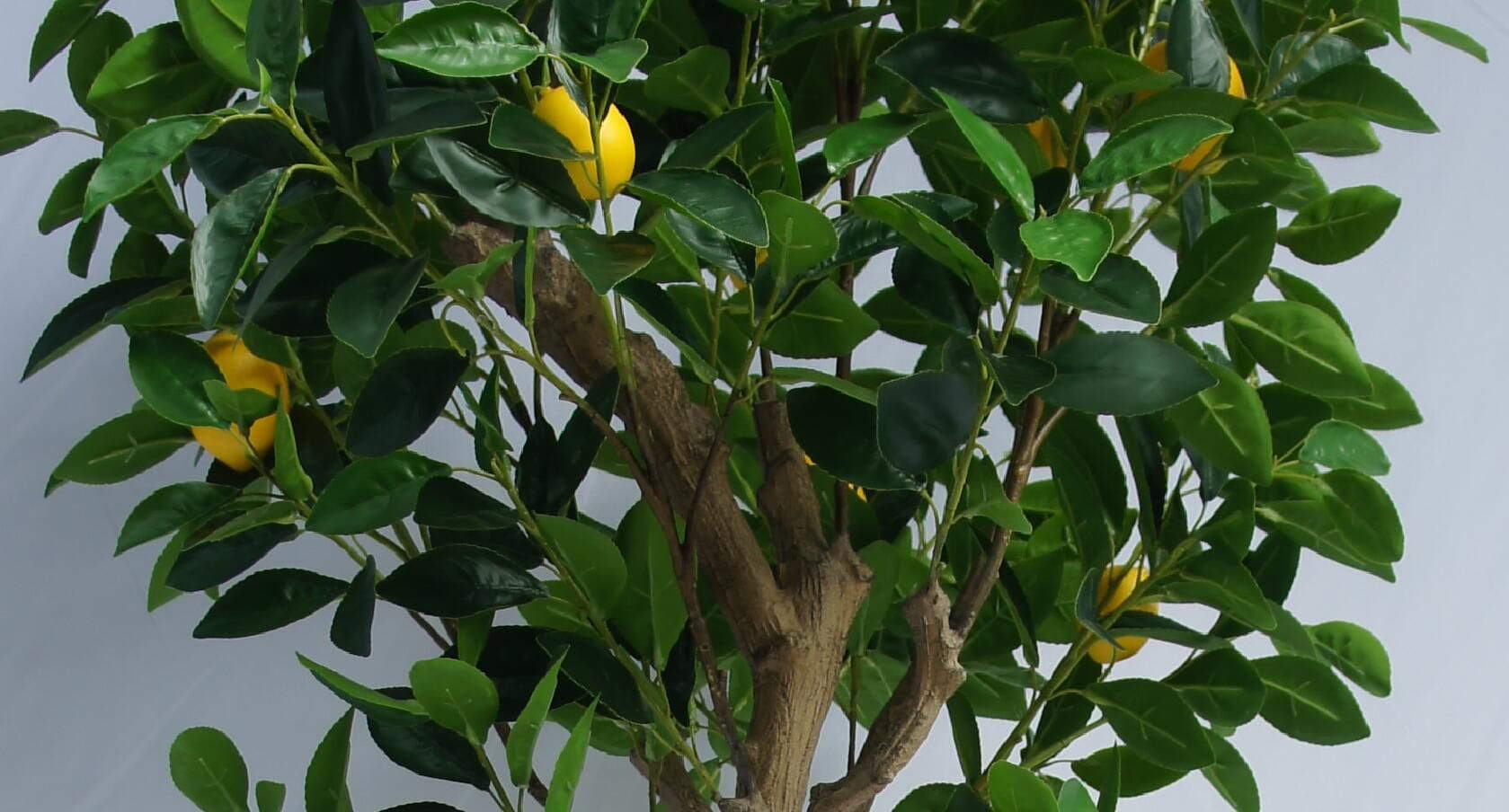 Artificial Lemon Tree, 180 CM Artificial Lemon Tree, 180 CM