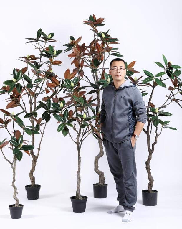 2020 Artificial Plants from Sharetrade 2020 Artificial Plants from Sharetrade