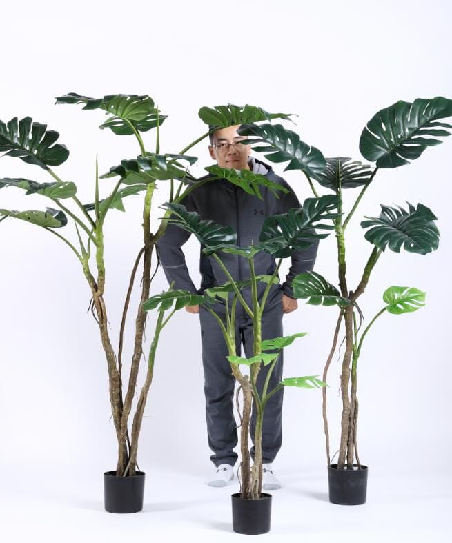 2020 Artificial Plants from Sharetrade