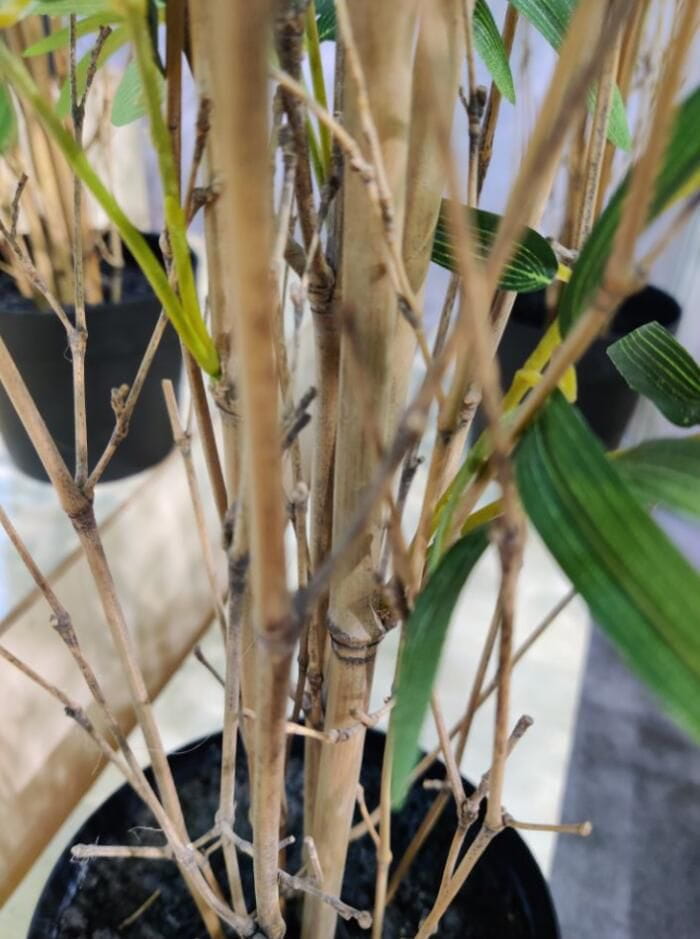 CAWH Fair Guangzhou China Import and Export World Fair Sharetrade Artificial Plants - Largest Artificial Plant Manufacturer & Supplier in China