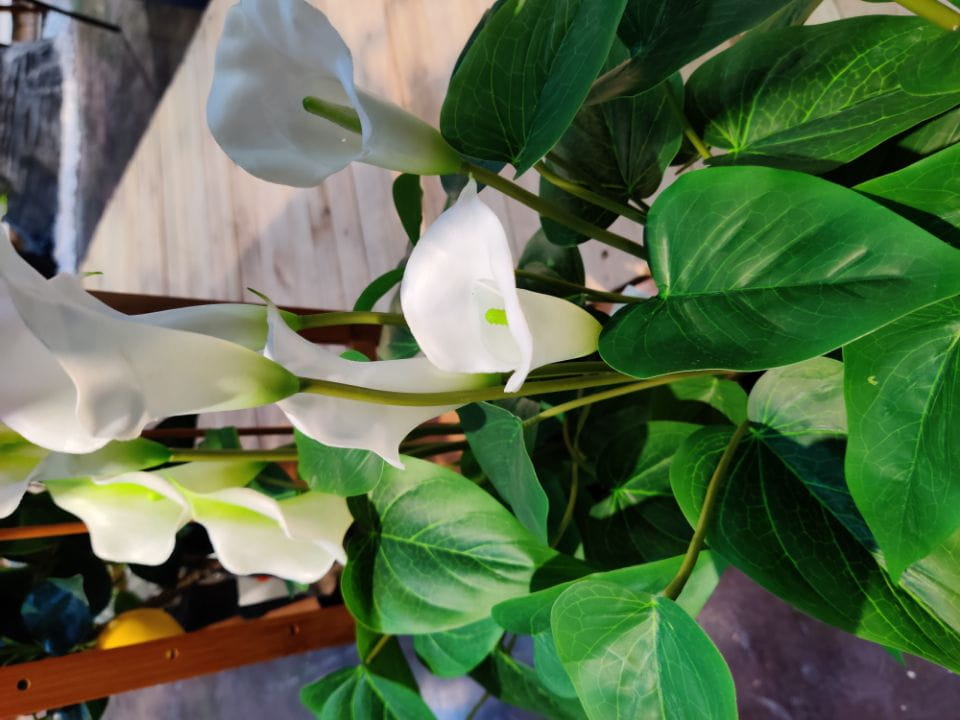 CAWH Fair Guangzhou China Import and Export World Fair Sharetrade Artificial Plants - Largest Artificial Plant Manufacturer & Supplier in China