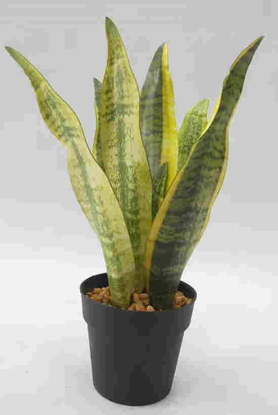 2020 Newest Artificial Snake Plant, 30 CM - 72 CM, Potted