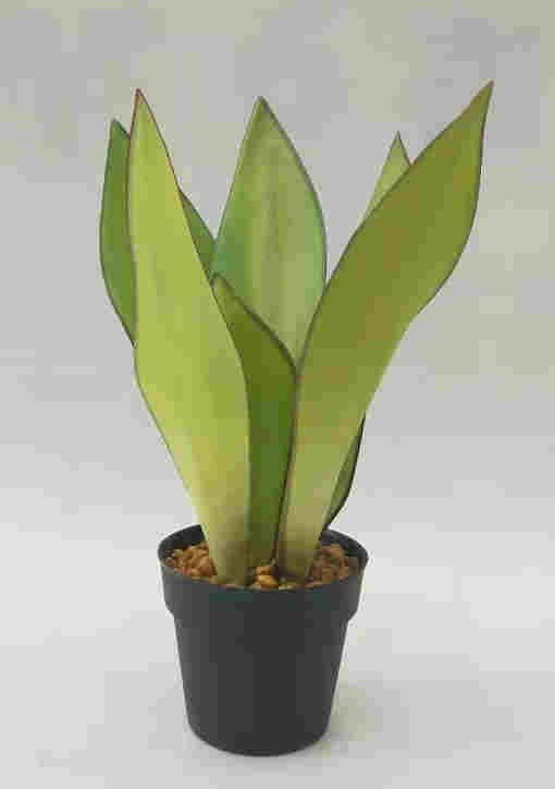 2020 Newest Artificial Snake Plant, 30 CM - 72 CM, Potted