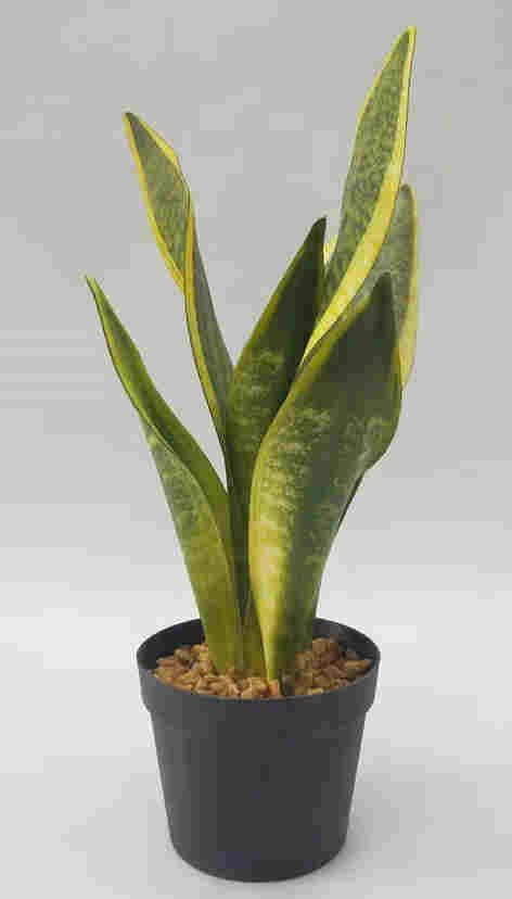 2020 Newest Artificial Snake Plant, 30 CM - 72 CM, Potted