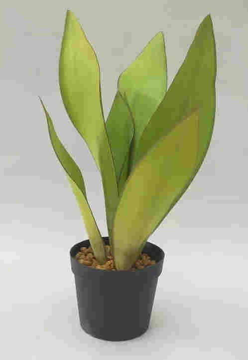 2020 Newest Artificial Snake Plant, 30 CM - 72 CM, Potted