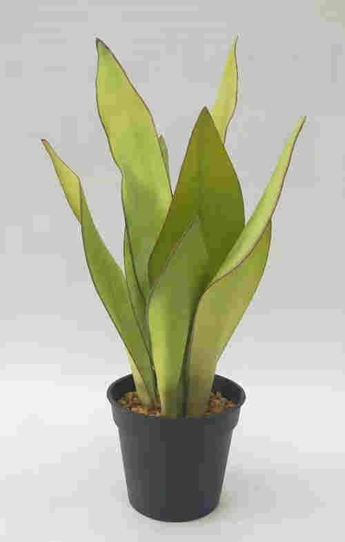 2020 Newest Artificial Snake Plant, 30 CM - 72 CM, Potted