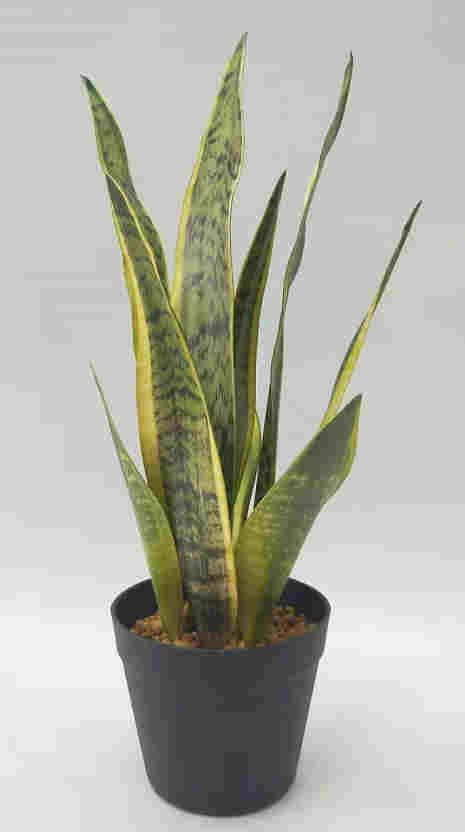 2020 Newest Artificial Snake Plant, 30 CM - 72 CM, Potted