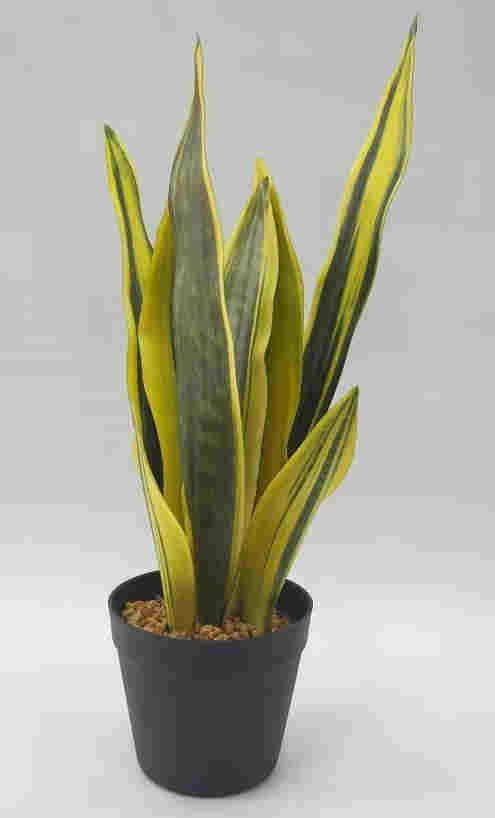 2020 Newest Artificial Snake Plant, 30 CM - 72 CM, Potted