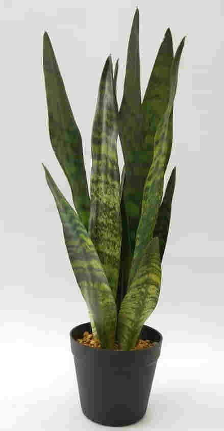 2020 Newest Artificial Snake Plant, 30 CM - 72 CM, Potted