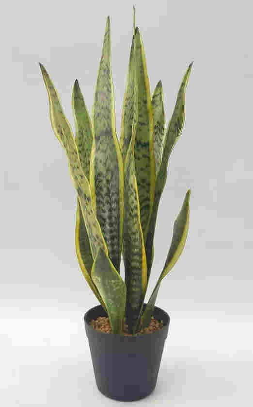 2020 Newest Artificial Snake Plant, 30 CM - 72 CM, Potted
