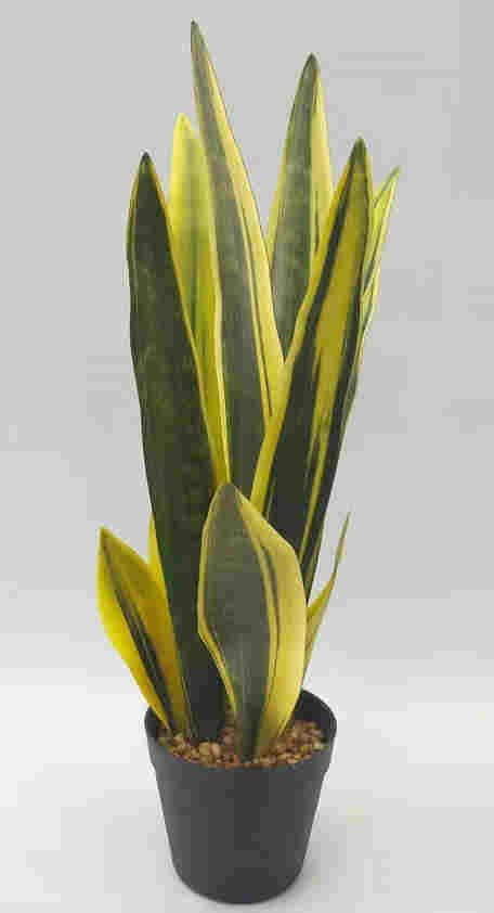 2020 Newest Artificial Snake Plant, 30 CM - 72 CM, Potted