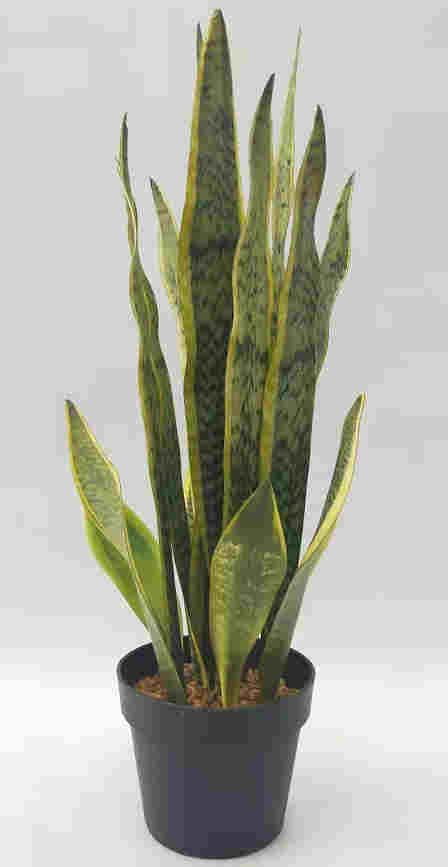 2020 Newest Artificial Snake Plant, 30 CM - 72 CM, Potted