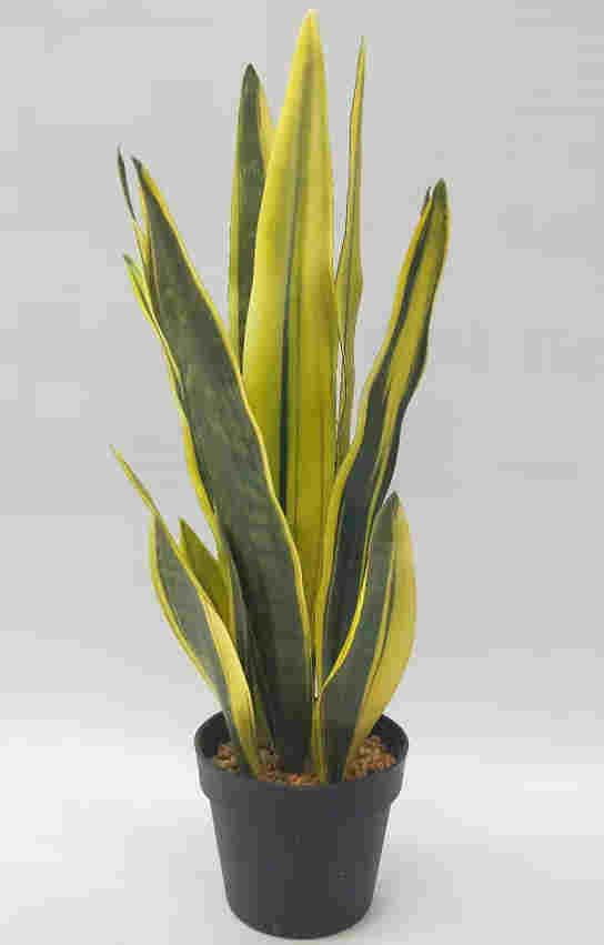 2020 Newest Artificial Snake Plant, 30 CM - 72 CM, Potted