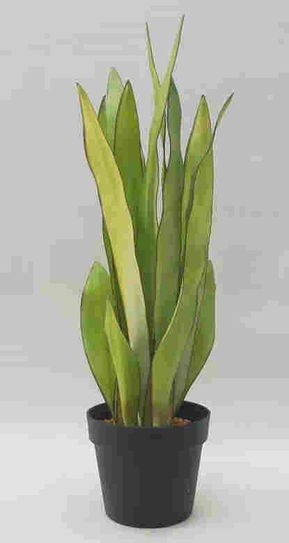 2020 Newest Artificial Snake Plant, 30 CM - 72 CM, Potted
