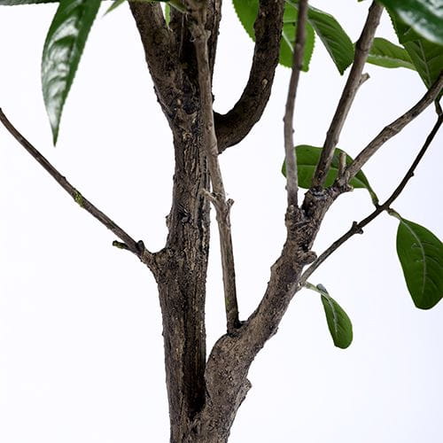 Artificial Sweet Osmanthus Tree, 150CM