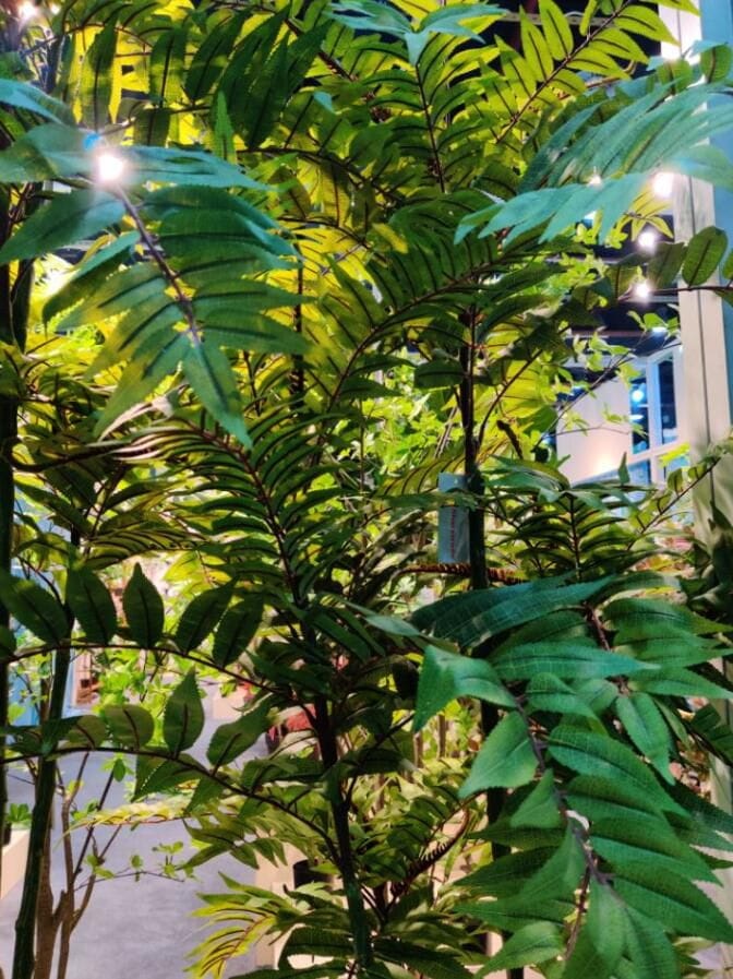 Artificial Toona sinensis, Four Trunks, 190CM