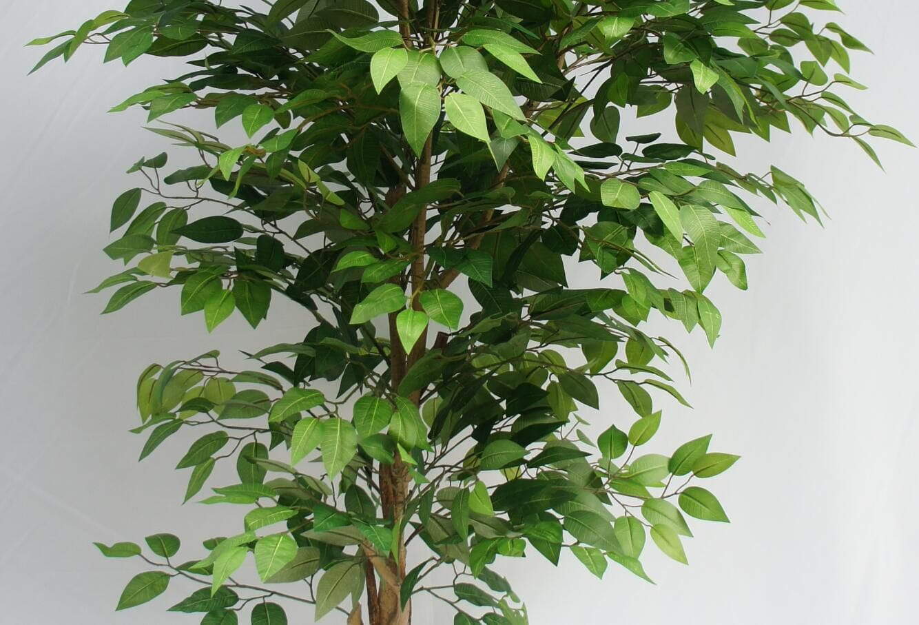 Artificial Greenery Ficus Tree, 120 CM, 150 CM, 180 CM Artificial Greenery Ficus Tree, 120 CM, 150 CM, 180 CM