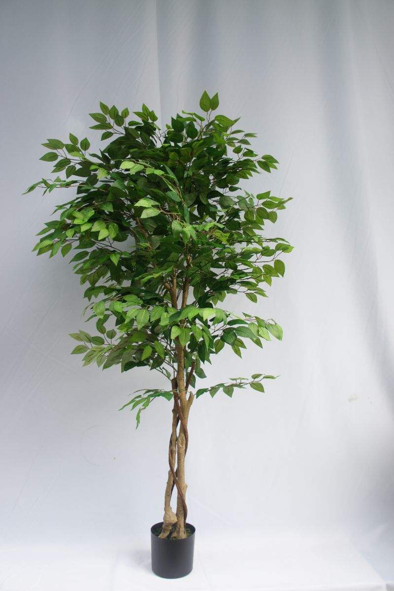 Artificial Greenery Ficus Tree, 120 CM, 150 CM, 180 CM Artificial Greenery Ficus Tree, 120 CM, 150 CM, 180 CM